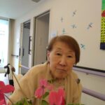 赤いシクラメン