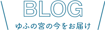 ブログ - グループホームゆふの宮の今をお届け