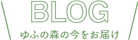 ブログ - ゆふの森の今をお届け