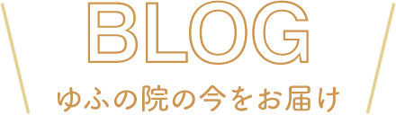 ブログ - ゆふの院の今をお届け